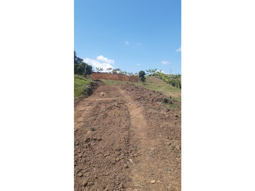 LOTE 2 EN VENTA; VÍA PEREIRA - MEDELLÍN - 6