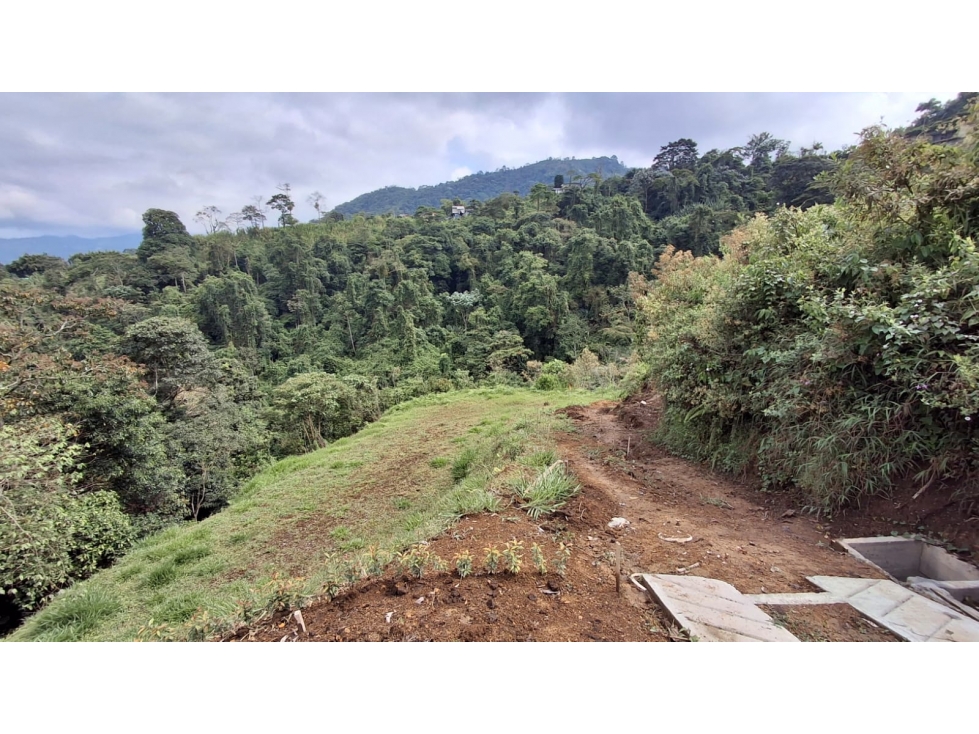 LOTE EN VENTA - SECTOR DOSQUEBRADAS, CONDOMINIO LA TESALIA — foto 2