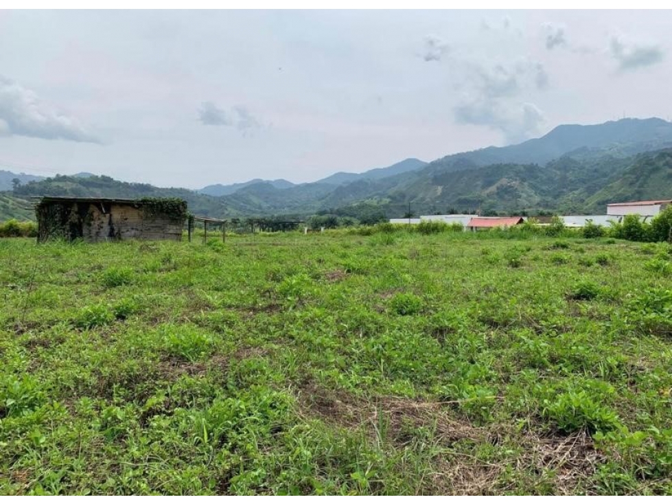 EN VENTA LOTE CAMPESTRE PLANO Y ESQUINERO EN COMBIA - PEREIRA — foto 3