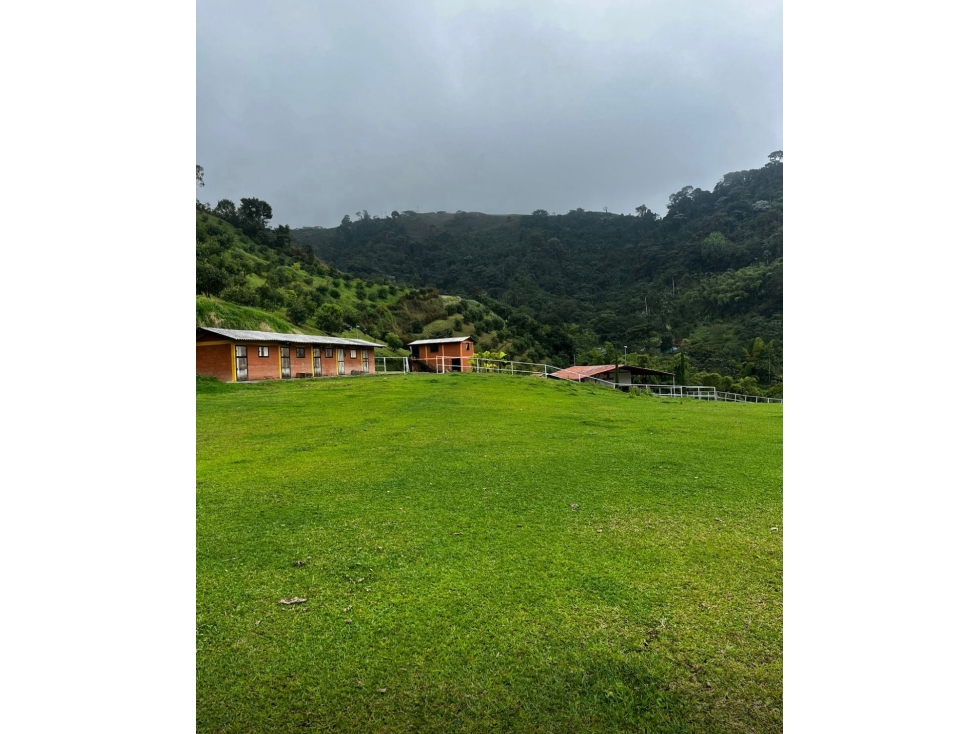 EN VENTA FINCA GANADERA Y/O DE CULTIVO EN LA FLORIDA PEREIRA — foto 3