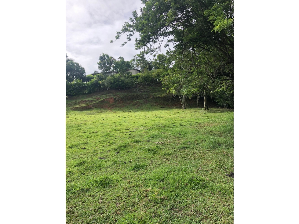 EN VENTA LOTE VIA PEREIRA CARTAGO