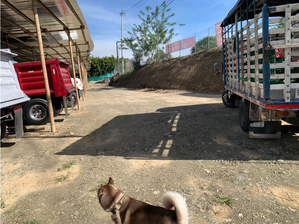 EN VENTA LOTE COMERCIAL Y RESIDENCIAL VIA ALTAGRACIA PEREIRA — foto 3