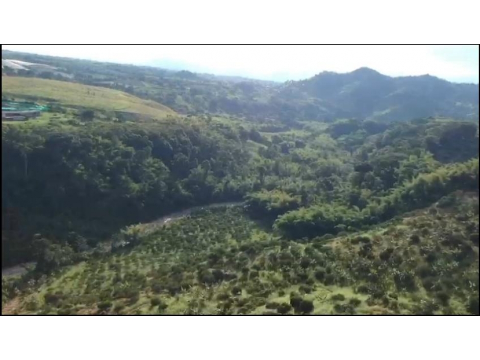 EN VENTA LOTE EN COMBIA PEREIRA