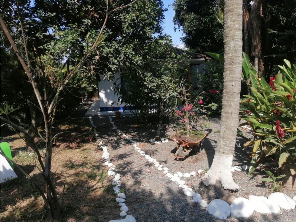 EN VENTA FINCA EN GUAYABITO CARTAGO — foto 3