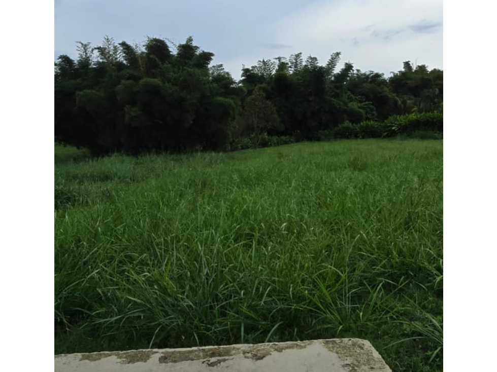 EN VENTA LOTE EN CONDOMINIO CAMPESTRE CERRITOS PEREIRA
