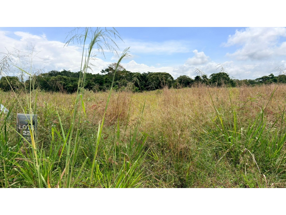 EN VENTA LOTE EN CERRITOS PERREIRA
