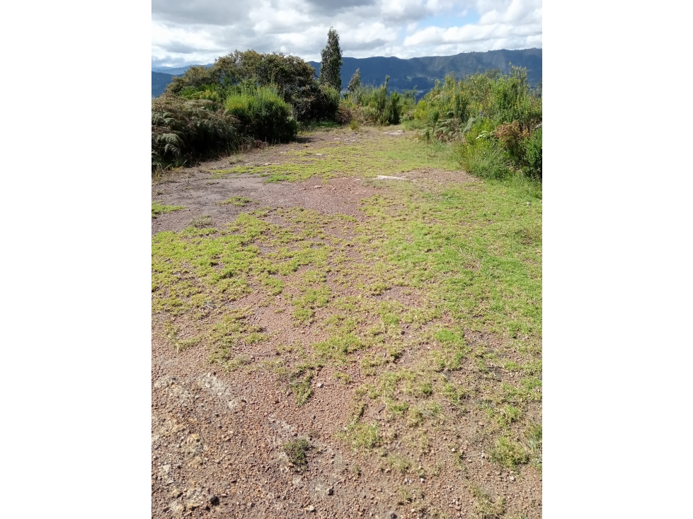LOTE EN VENTA EN TENJO CUNDINAMARCA