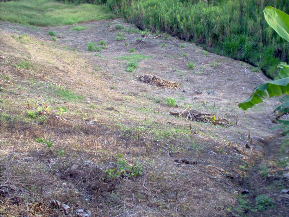 EN VENTA LOTE CAMPESTRE EN CERRITOS PEREIRA — foto 3