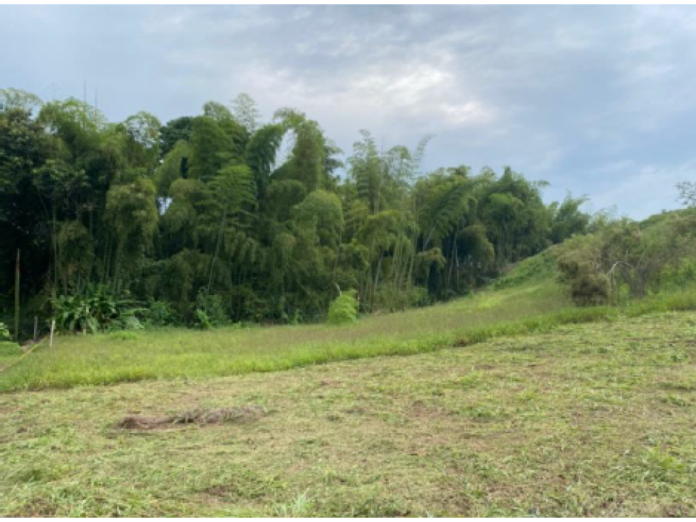 EN VENTA LOTE CAMPESTRE EN CONJUNTO CERRADO VÍA CHINCHINA — foto 5