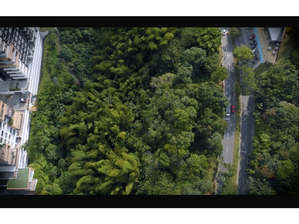 EN VENTA LOTE URBANO ESQUINERO PARA PROYECTO ARMENIA — foto 2