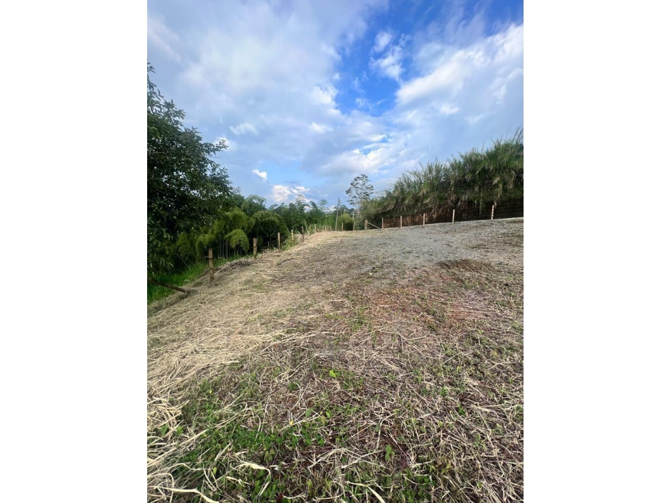 EN VENTA LOTE EN TRIBUNAS CON LICENCIA VIA PEREIRA - ARMENIA - 2