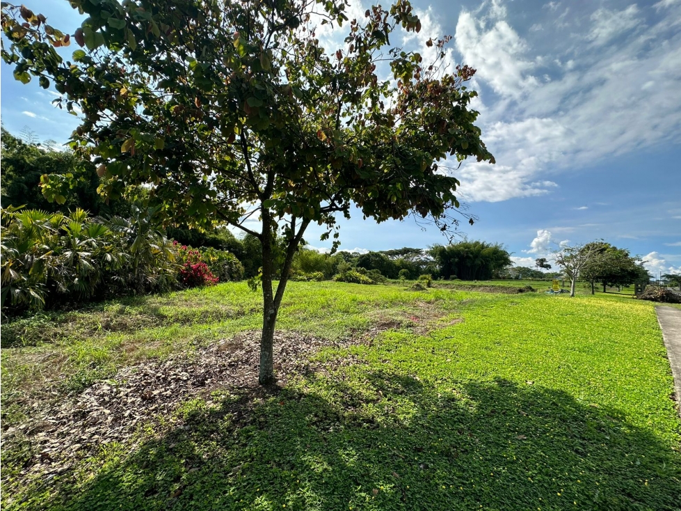 EN VENTA LOTE CAMPESTRE EN CERRITOS PEREIRA — foto 2
