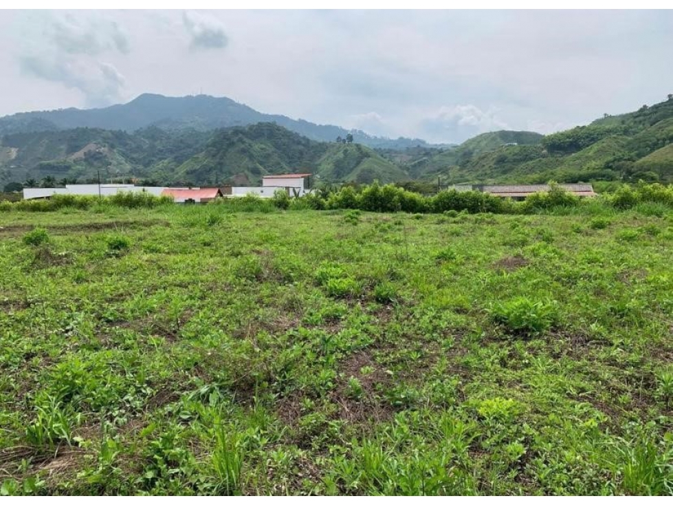EN VENTA LOTE CAMPESTRE PLANO Y ESQUINERO EN COMBIA - PEREIRA — foto 5