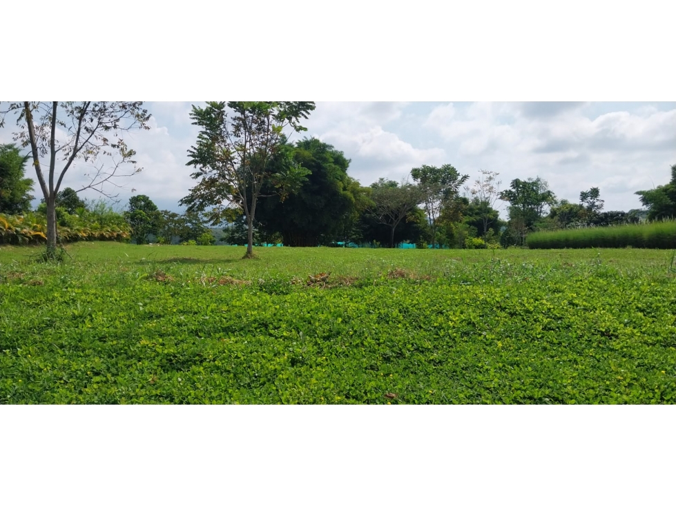 EN VENTA LOTE CAMPESTRE EN CERRITOS PEREIRA — foto 3