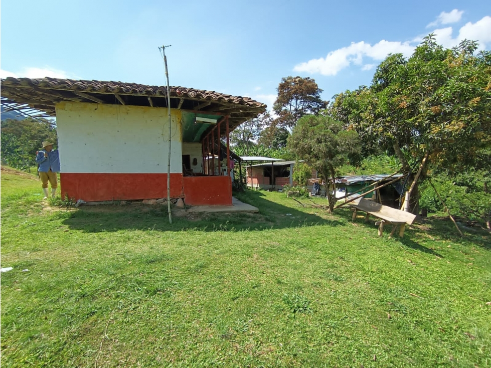 EN VENTA FINCA EN BELEN DE UMBRIA - 6