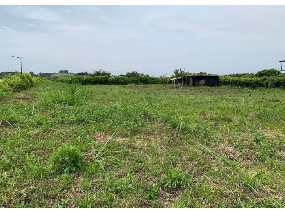 EN VENTA LOTE CAMPESTRE PLANO Y ESQUINERO EN COMBIA - PEREIRA — foto 6