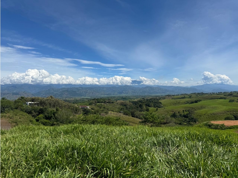 EN VENTA LOTE EN CONDOMINIO CERRITOS PEREIRA (4) — foto 2