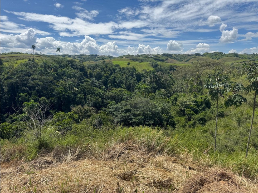 EN VENTA LOTE EN CONDOMINIO CERRITOS PEREIRA — foto 2