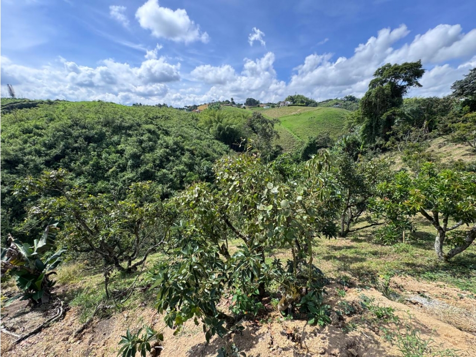 EN VENTA CASA CAMPESTRE VIA CONDINA PEREIRA — foto 5