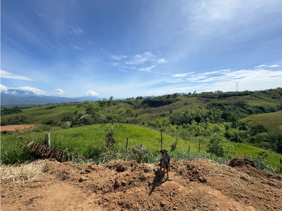 EN VENTA LOTE EN CONDOMINIO CERRITOS PEREIRA (2) — foto 4