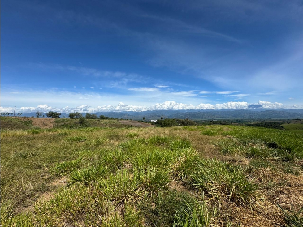 EN VENTA LOTE EN CONDOMINIO CERRITOS PEREIRA (4) — foto 3