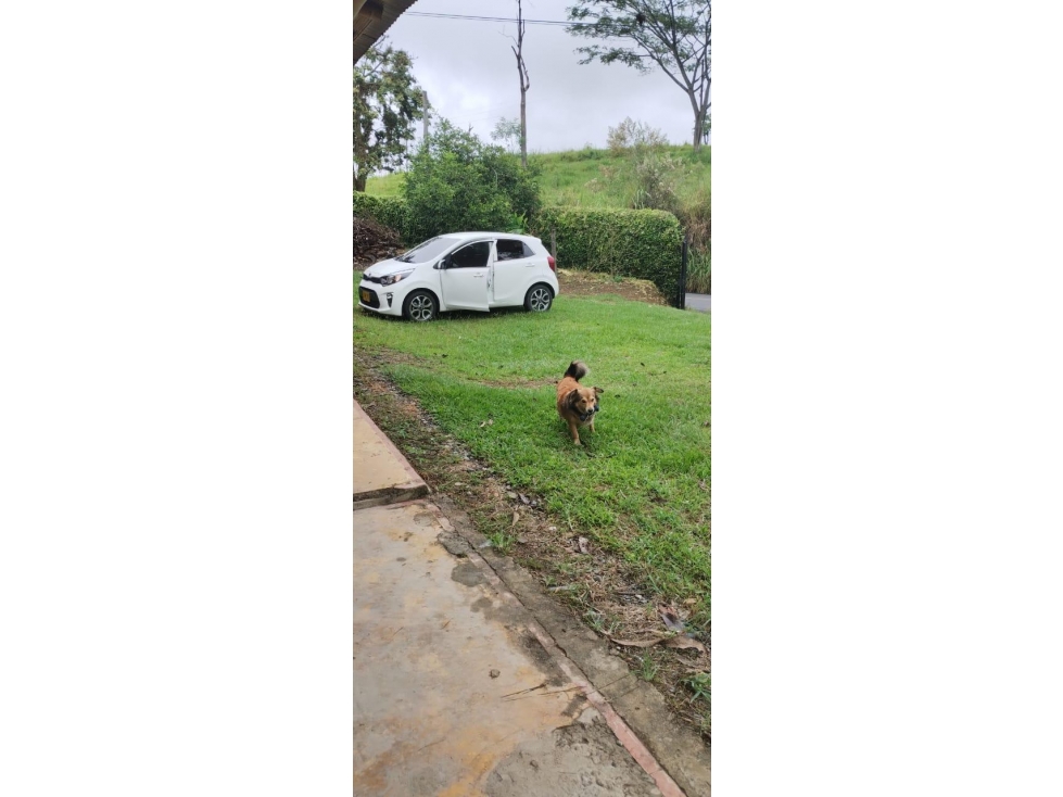 EN VENTA LOTE MORELIA PEREIRA — foto 3