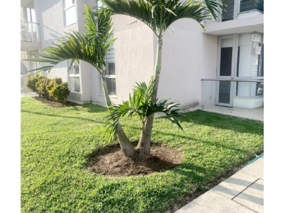 EN VENTA APARTAMENTO EN LA MACARENA DOSQUEBRADAS — foto 3