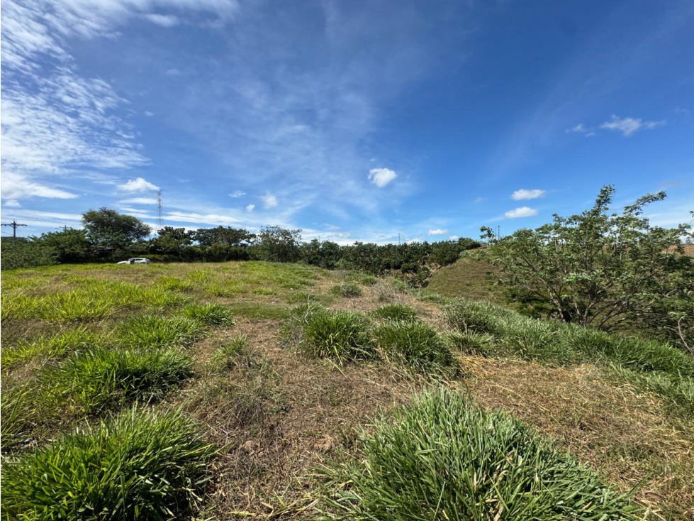 EN VENTA LOTE EN CONDOMINIO CERRITOS PEREIRA (4) — foto 4