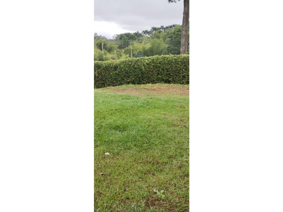 EN VENTA LOTE MORELIA PEREIRA — foto 4