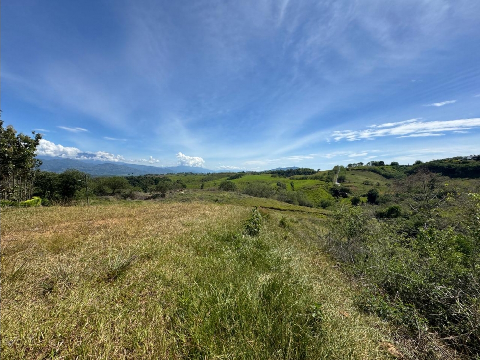 EN VENTA LOTE EN CONDOMINIO CERRITOS PEREIRA — foto 4
