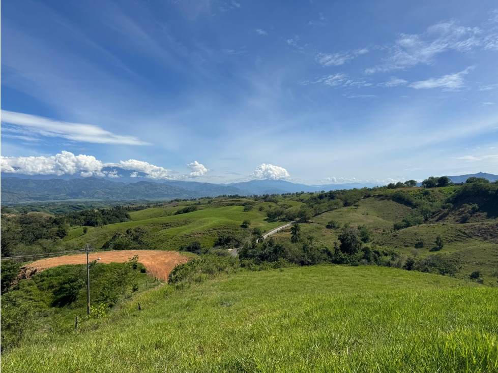 EN VENTA LOTE EN CONDOMINIO CERRITOS PEREIRA (2) — foto 6