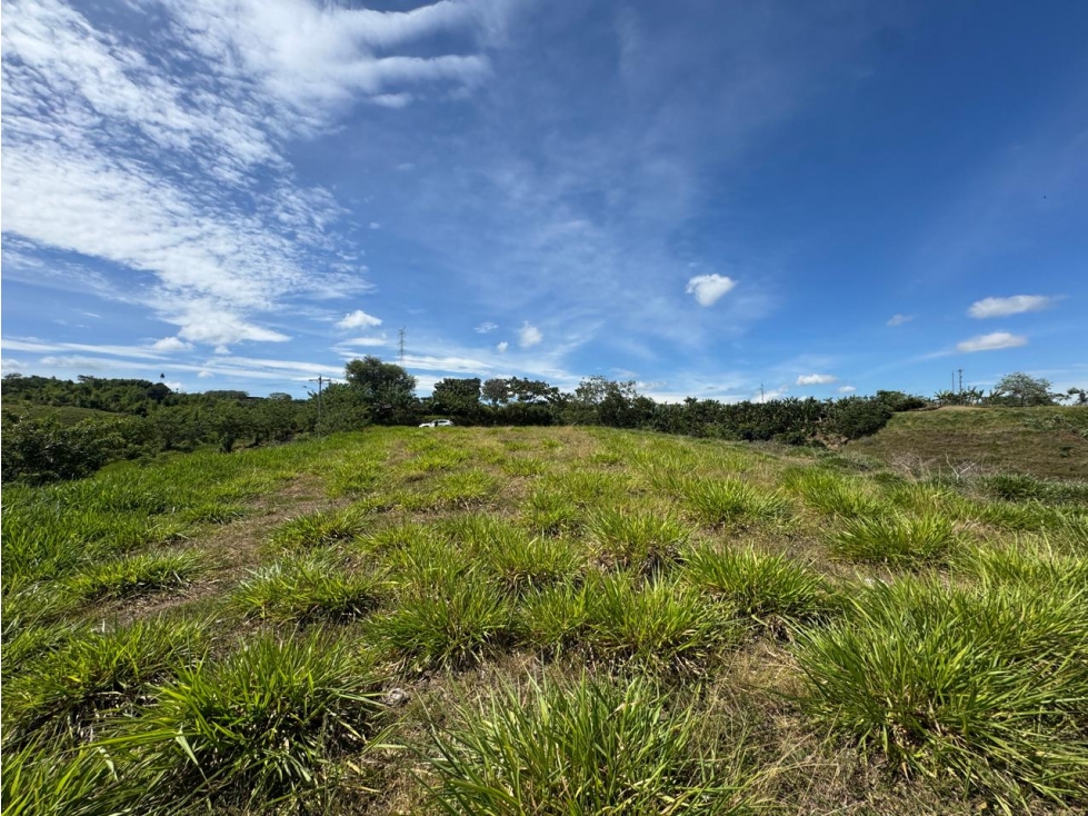 EN VENTA LOTE EN CONDOMINIO CERRITOS PEREIRA (4) — foto 5