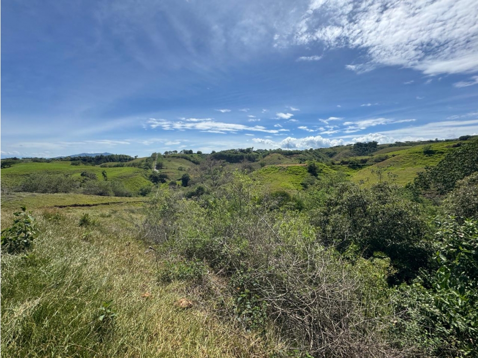 EN VENTA LOTE EN CONDOMINIO CERRITOS PEREIRA — foto 5