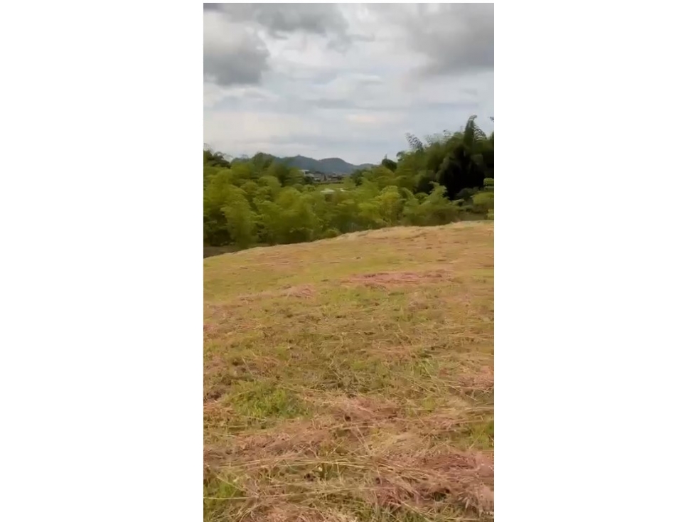 EN VENTA LOTE CAMPESTRE EN CERRITOS PEREIRA — foto 2