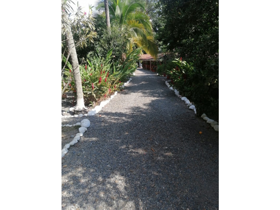 EN VENTA FINCA EN GUAYABITO CARTAGO