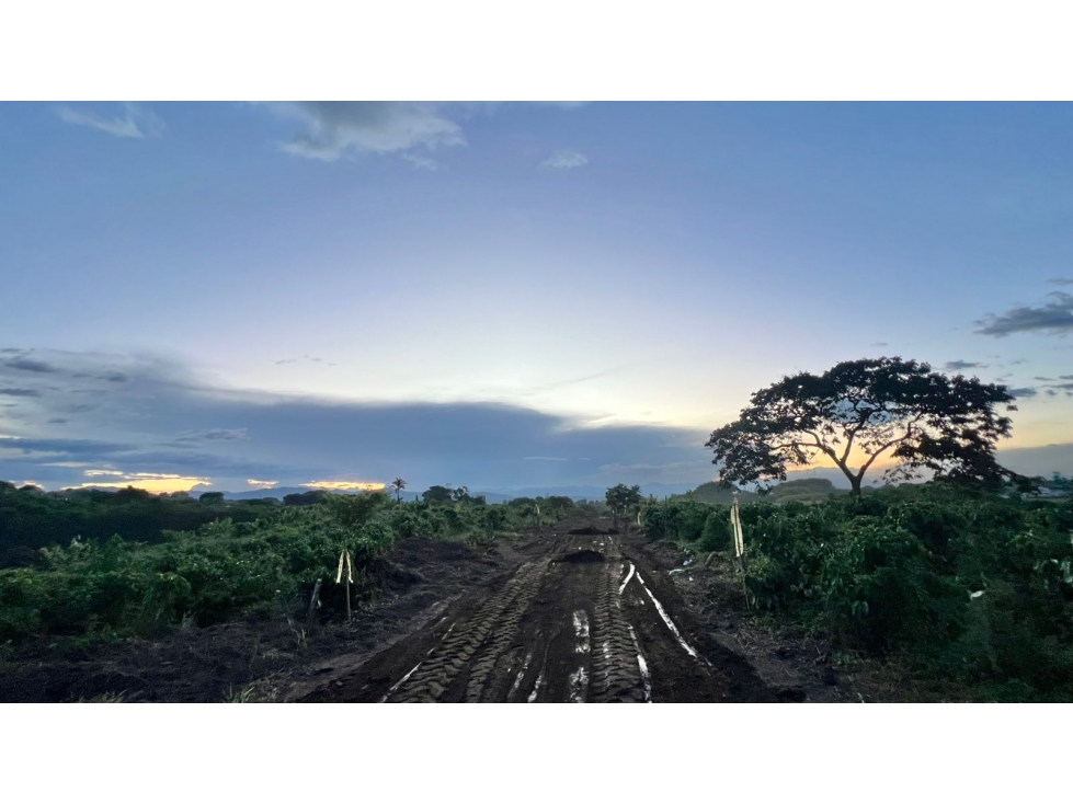 EN VENTA LOTE EN PARCELACIÓN QUIMBAYA — foto 4