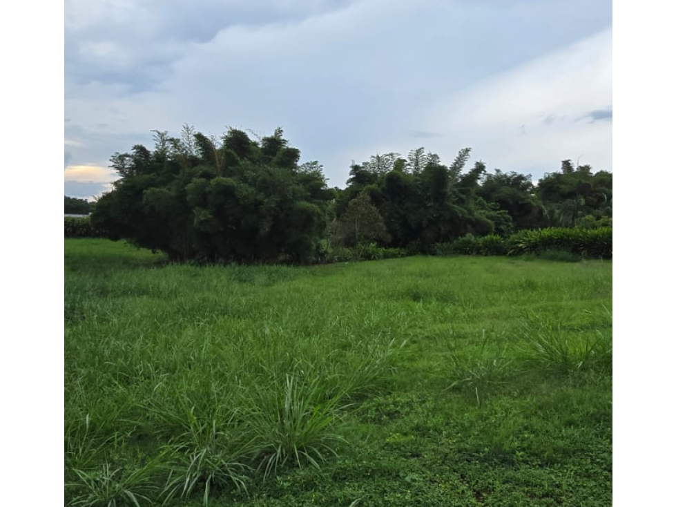EN VENTA LOTE EN CONDOMINIO CAMPESTRE CERRITOS PEREIRA — foto 2