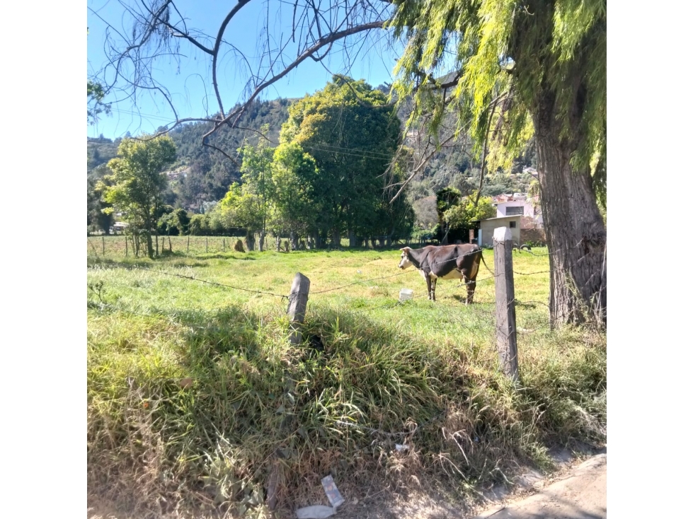 EN VENTA LOTE EN TENJO CUNDINAMARCA — foto 2