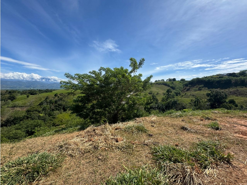 EN VENTA LOTE EN CONDOMINIO CERRITOS PEREIRA (3) — foto 6