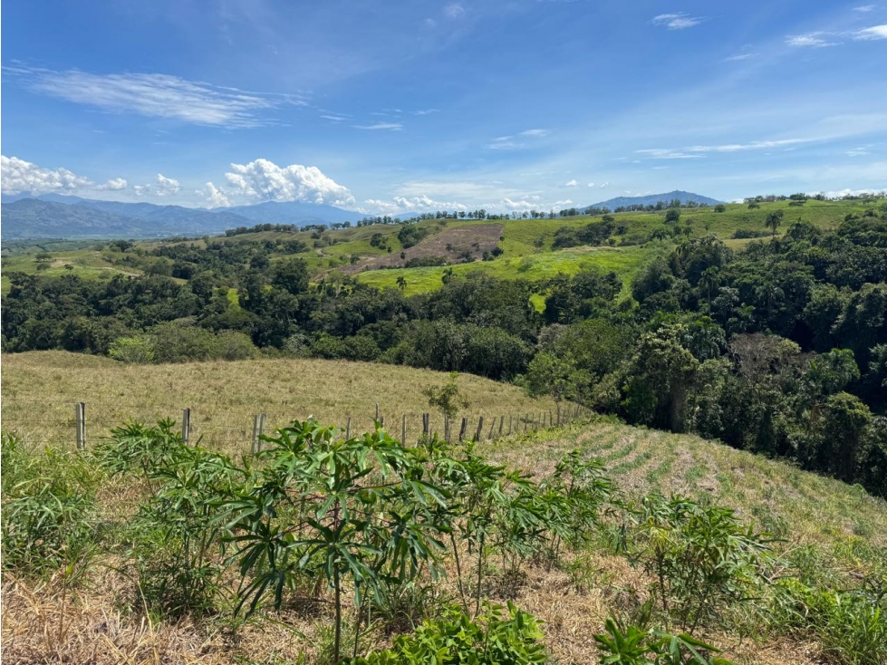 EN VENTA LOTE EN CONDOMINIO CERRITOS PEREIRA (6)
