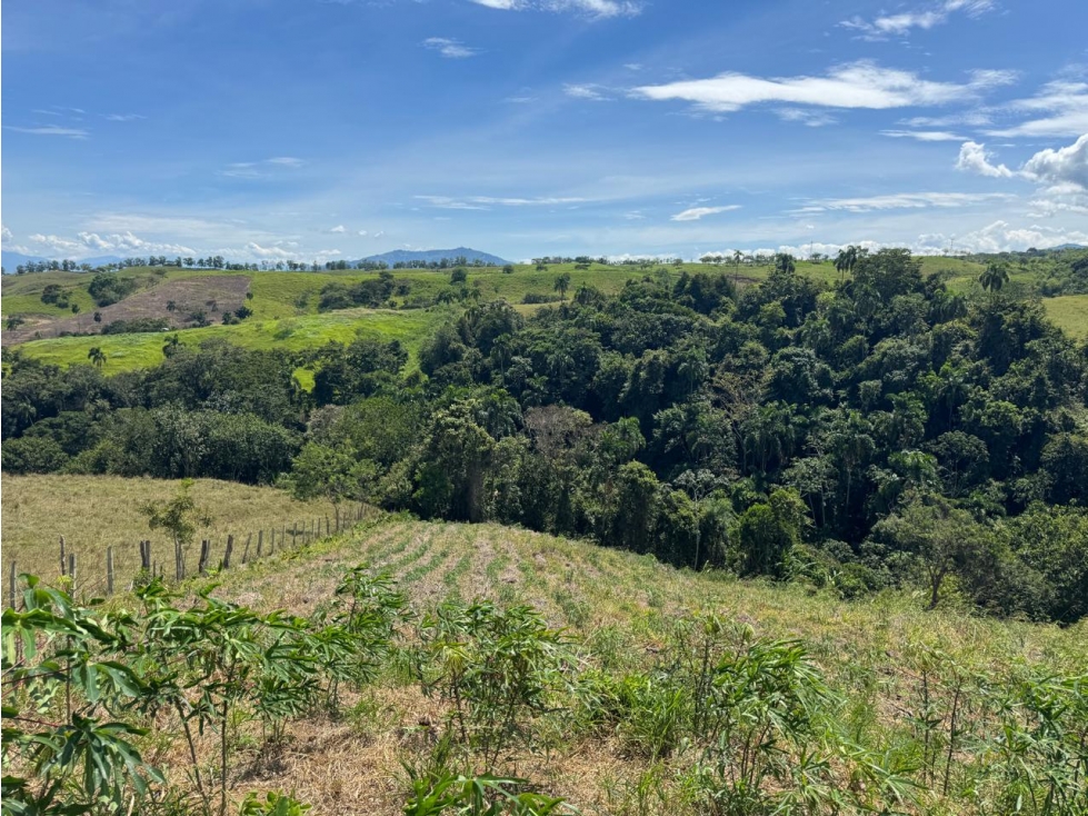 EN VENTA LOTE EN CONDOMINIO CERRITOS PEREIRA (6) — foto 5