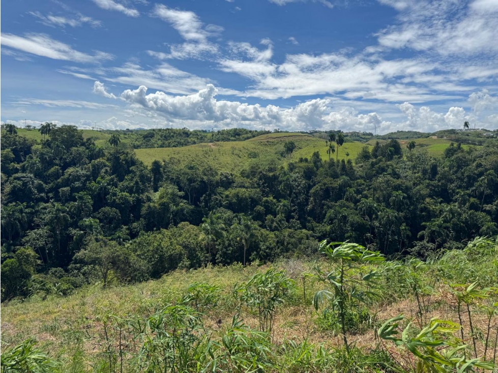 EN VENTA LOTE EN CONDOMINIO CERRITOS PEREIRA (6) — foto 6