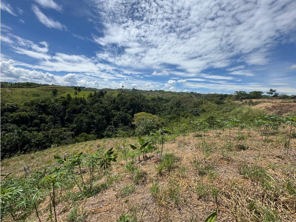 EN VENTA LOTE EN CONDOMINIO CERRITOS PEREIRA (6) — foto 6