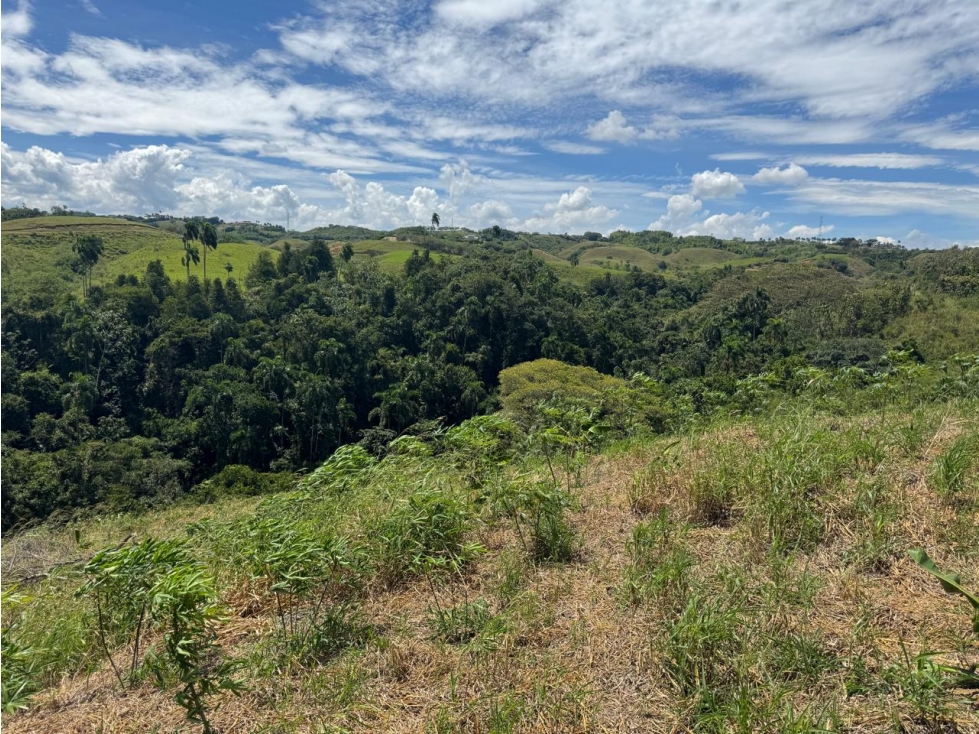EN VENTA LOTE EN CONDOMINIO CERRITOS PEREIRA (6)