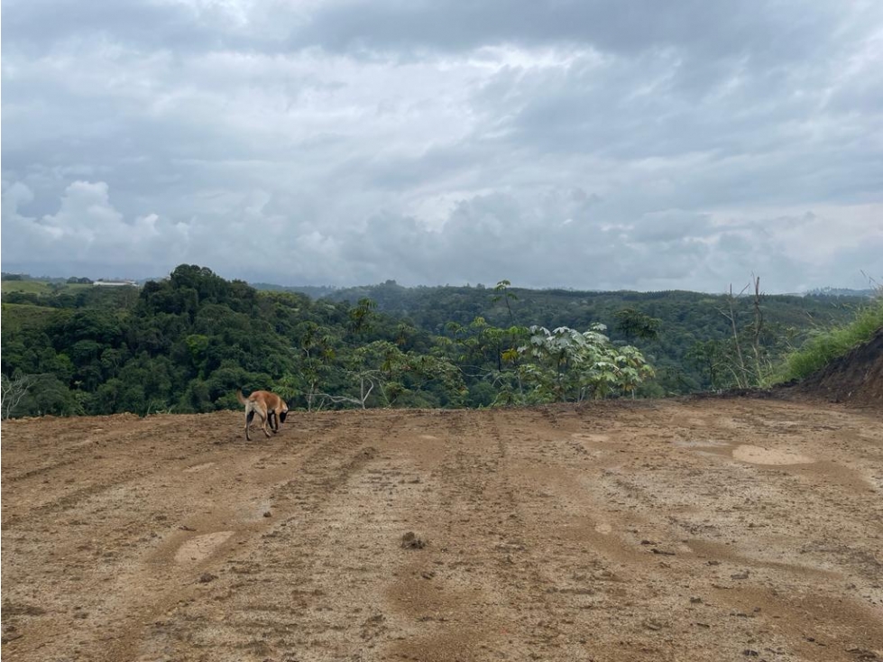 EN VENTA LOTE SEMI PLANO PEREIRA VIA ARMENIA — foto 3