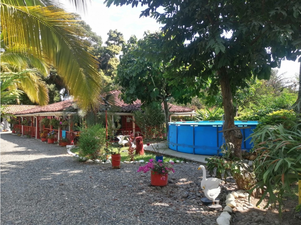 EN VENTA FINCA EN GUAYABITO CARTAGO — foto 6
