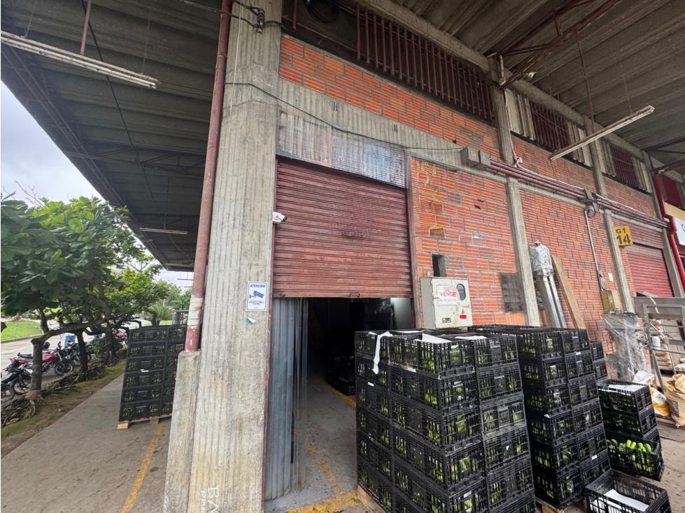 EN VENTA LOCAL EN MERCASA PEREIRA — foto 4