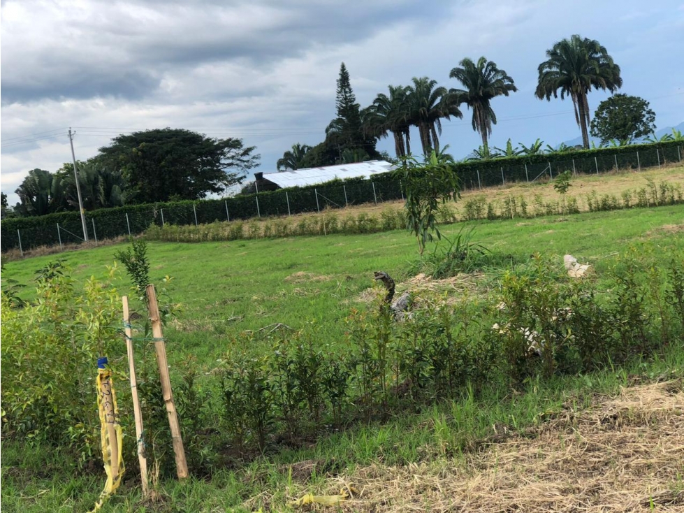 EN VENTA LOTE EN PARCELACION LOS PLANES CERRITOS PEREIRA — foto 3