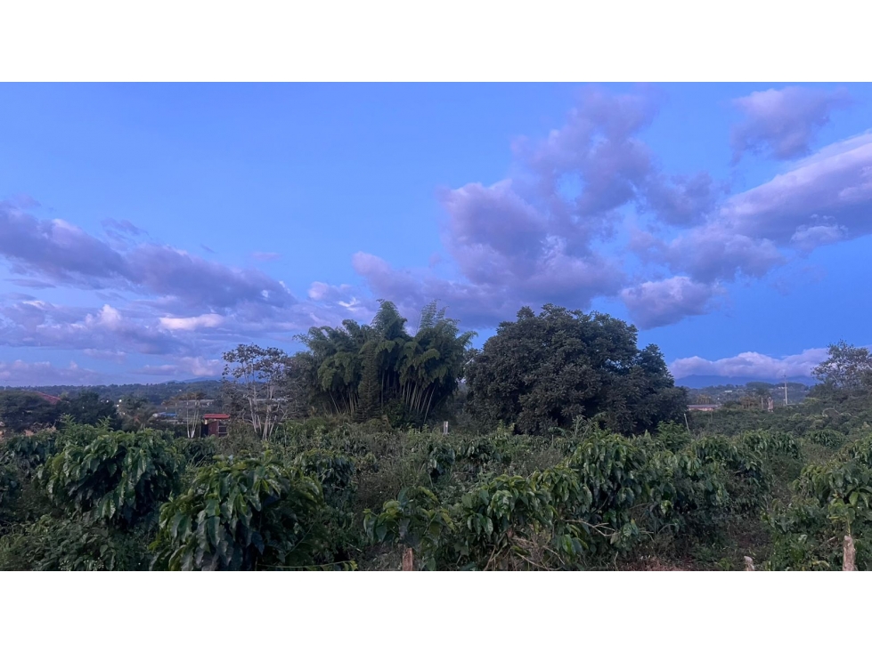 EN VENTA LOTE EN PARCELACIÓN QUIMBAYA — foto 5
