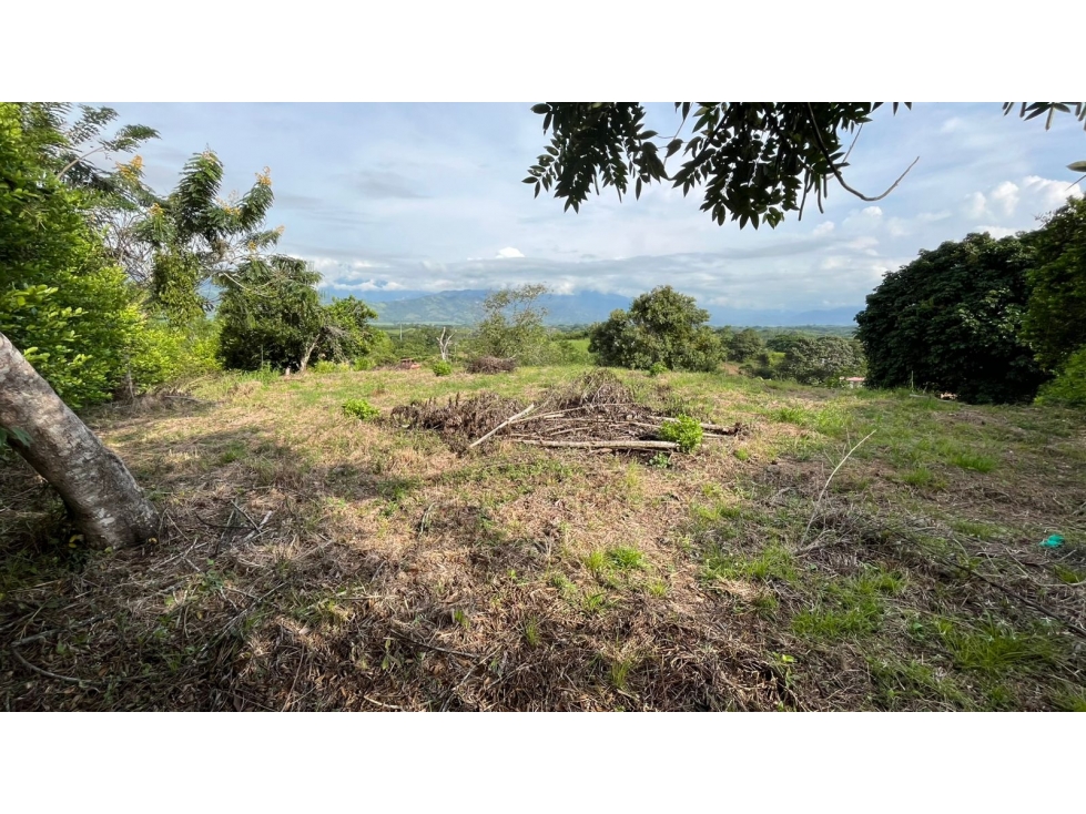 EN VENTA LOTE EN PARCELACIÓN EN BELALCÁZAR CALDAS - 3